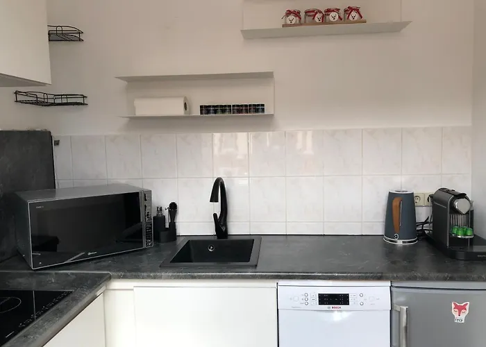 2-raum-apartment Am Malzwerk, Zentrumsnah Апартаменты Эрфурт